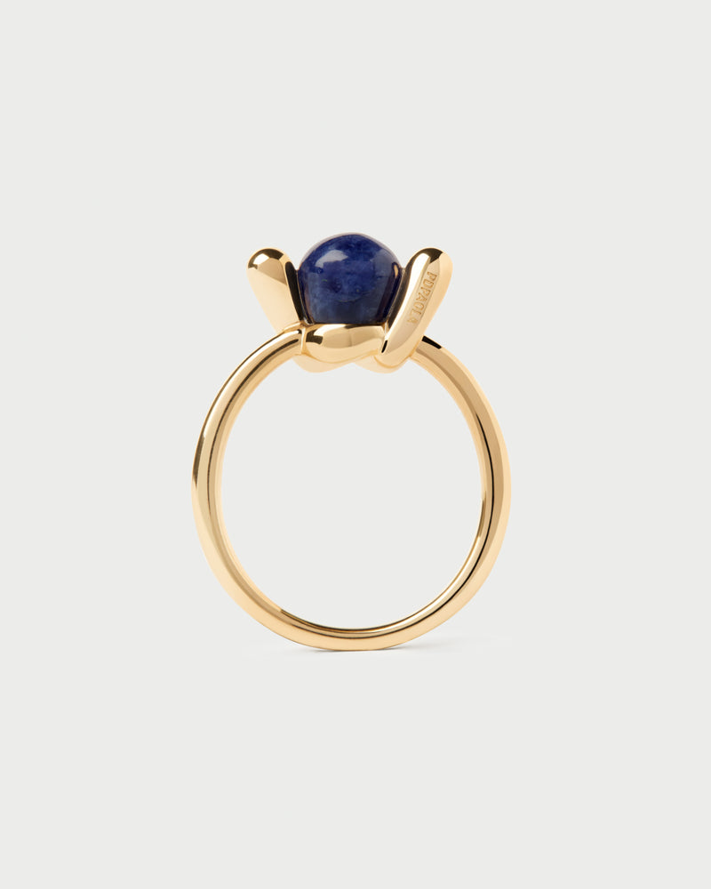 PDPAOLA Sodalite Nexus Ring - Gold | Mocha Australia