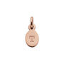 Kirstin Ash Initial Charm w/ 18K Rose Gold Vermeil - T