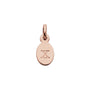 Kirstin Ash Initial Charm w/ 18K Rose Gold Vermeil - X